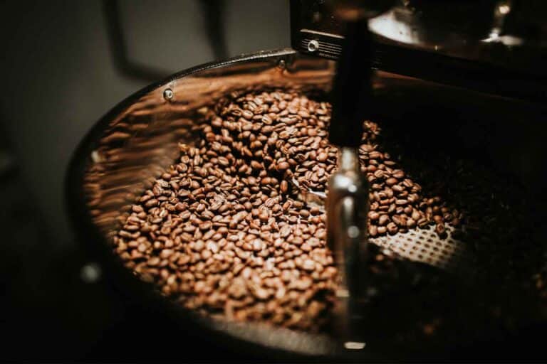 What ‘Light, Medium, and Dark Roast’ Actually Mean for Flavor